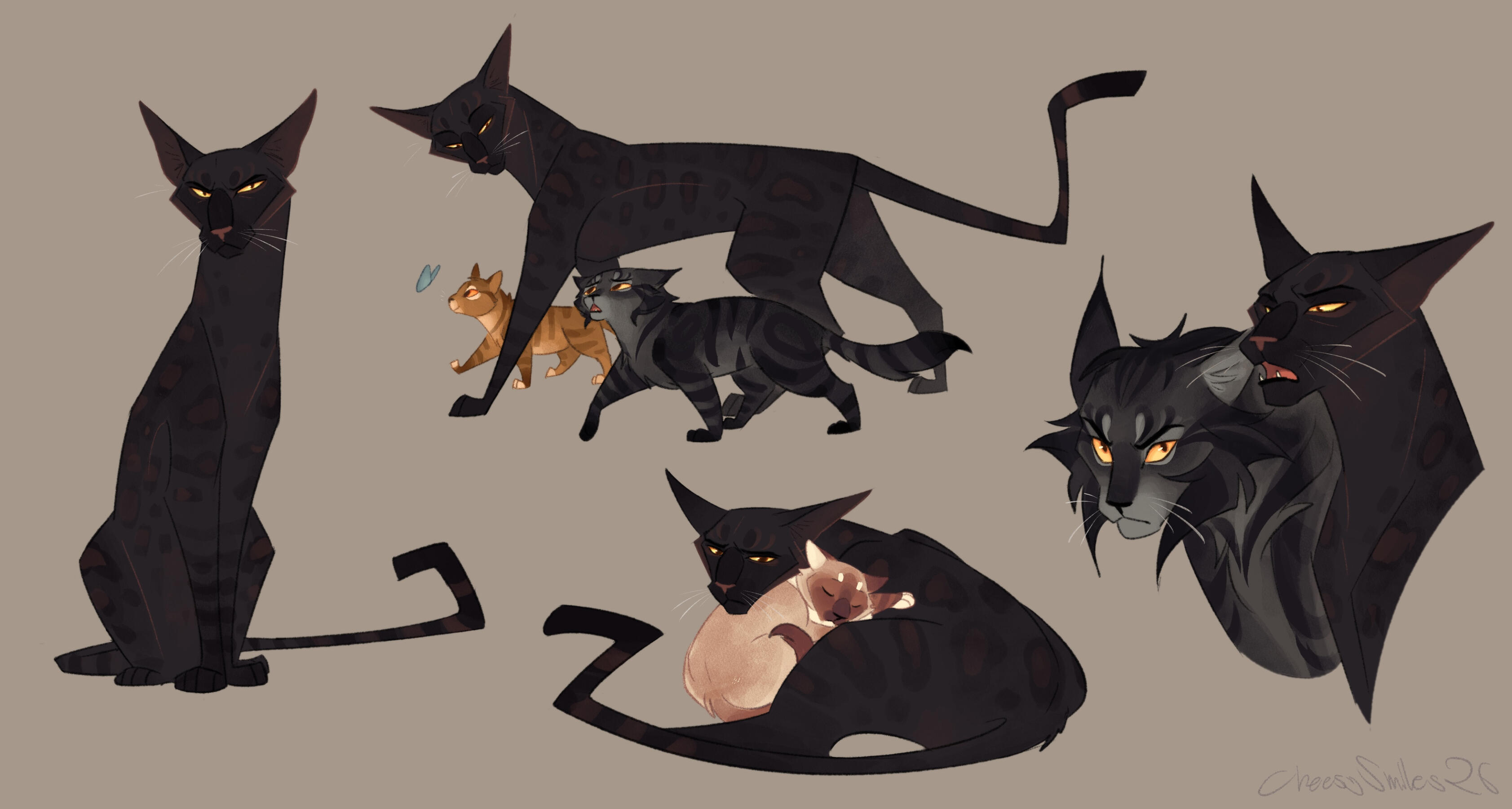 Cat design