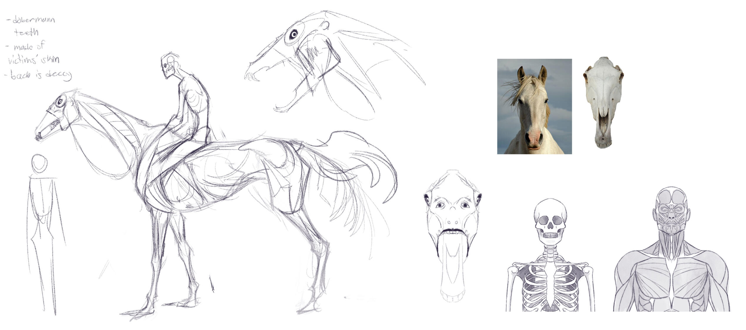 Sketches &amp; references