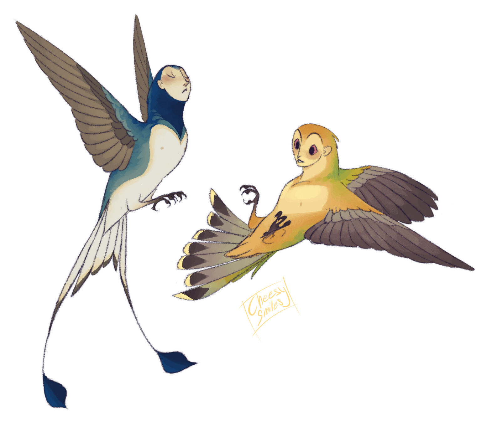 Hummingbird Harpies